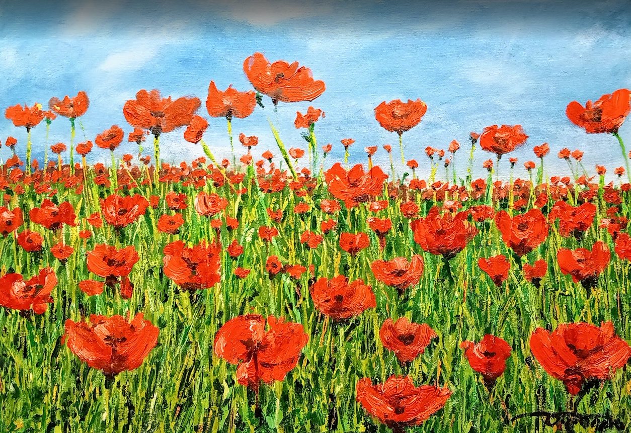 Amapolas, óleo de Diego Casero